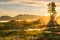 Yellow Misty Landscape with Mountains