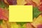 Yellow mock up blank for copy space on natural Autumn leaves frame