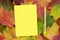 Yellow mock up blank for copy space and pen on natural Autumn leaves frame