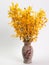 Yellow Mokara Orchids ,Put them in a vase