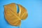 Yellow monstera leaf on blue background. Space for text. Design