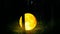 Yellow moon in a forest at night and firefly It is a collage of a moon shot, best loop video background for relaxing and calming