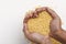 Yellow moong mung dal lentil pulse bean in hand on white background