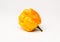 Yellow Moruga Scorpion Hot Pepper