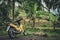 Yellow motorbike near rice fields