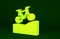Yellow Mountain bicycle icon isolated on green background. Bike race. Extreme sport. Sport equipment. Minimalism concept