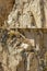 Yellow mountain rock wall with rusty clamps, El Camino del Rey,