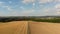 Yellow mowed wheat field, top view, drone concept video