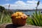 yellow muffin with a view of the ocean, ready for a picnic in the park