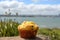 yellow muffin with a view of the ocean, ready for a picnic in the park