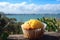 yellow muffin with a view of the ocean, ready for a picnic in the park