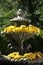 Yellow Mums in Garden Fountain