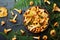 Yellow mushrooms chanterelle cantharellus cibarius in bowl decorated fern and forest plants on black kitchen table top view.