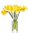 Yellow narcissus in transparent vase, isolated