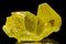 Yellow native sulphur crystals