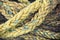 Yellow nautical rope, close-up background texture