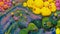 Yellow neon colorful bubbles oil and ink, acrylic paint moving close-up, wallpaper background