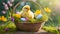 Yellow nestling in a Easter basket full of colorful eggs grass and flowers