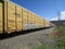 Yellow Norfolk Southern railroad cars with graffiti.