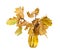 Yellow oak leaves in a vase of colored glass