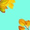 Yellow and orange autumn leaves on a vibrant teal background with copy space