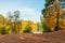 Yellow orange foliage of trees in a park on the shore of a picturesque lake, a beautiful autumn landscape