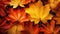 Yellow and orange maple leaves, full frame. Autumn background banner. Top view.