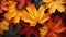Yellow and orange maple leaves, full frame. Autumn background banner. Top view.
