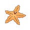 Yellow or orange outline vector doodle cartoon of a smiling sea star. happy Starfish with big eyes isolated on white background.