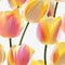 Yellow Orange Pink Tulip Flowers Glitter White Background Tile Seamless Background. Generative AI