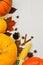 Yellow and orange pumpkins and corn with autumn decor on white wooden background for harvest fall and thanksgiving theme. cornucop
