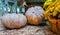 Yellow-orange pumpkins at home for halloween on a haystack, straw, on a shelf. Decorated with heirlooms for fall on a