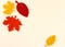 Yellow orange red autumn leaves,