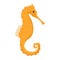 Yellow and orange seahorse vector isolated. Underwater wildlife