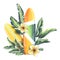 Yellow and orange striped surfboards with tropical leaves, plumeria flowers on a white background. Watercolor