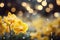 Yellow orchid blossom on isolated magical bokeh background with copy space for text placement