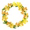 Yellow orchid frame, floral wreath circle frame, isolated vector