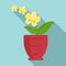 Yellow orchid icon, flat style