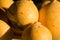 Yellow organic turnip background