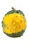 Yellow ornamental pumpkin