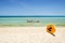 Yellow paddle boards and children boats on tropical beach