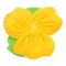 Yellow pansy icon cartoon vector. Floral viola