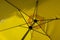 Yellow parasol from the inside