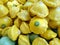 Yellow patty pan squash, Cucurbita pepo