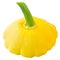 Yellow Pattypan squash Cucurbita pepo fruit, Sunny Delight variety  isolated