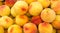 Yellow peaches on display
