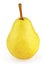 Yellow pear