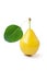 Yellow pear with green leaf