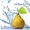 Yellow pear with leaf and water splash isolated