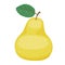 Yellow pear simple cartoon style vector